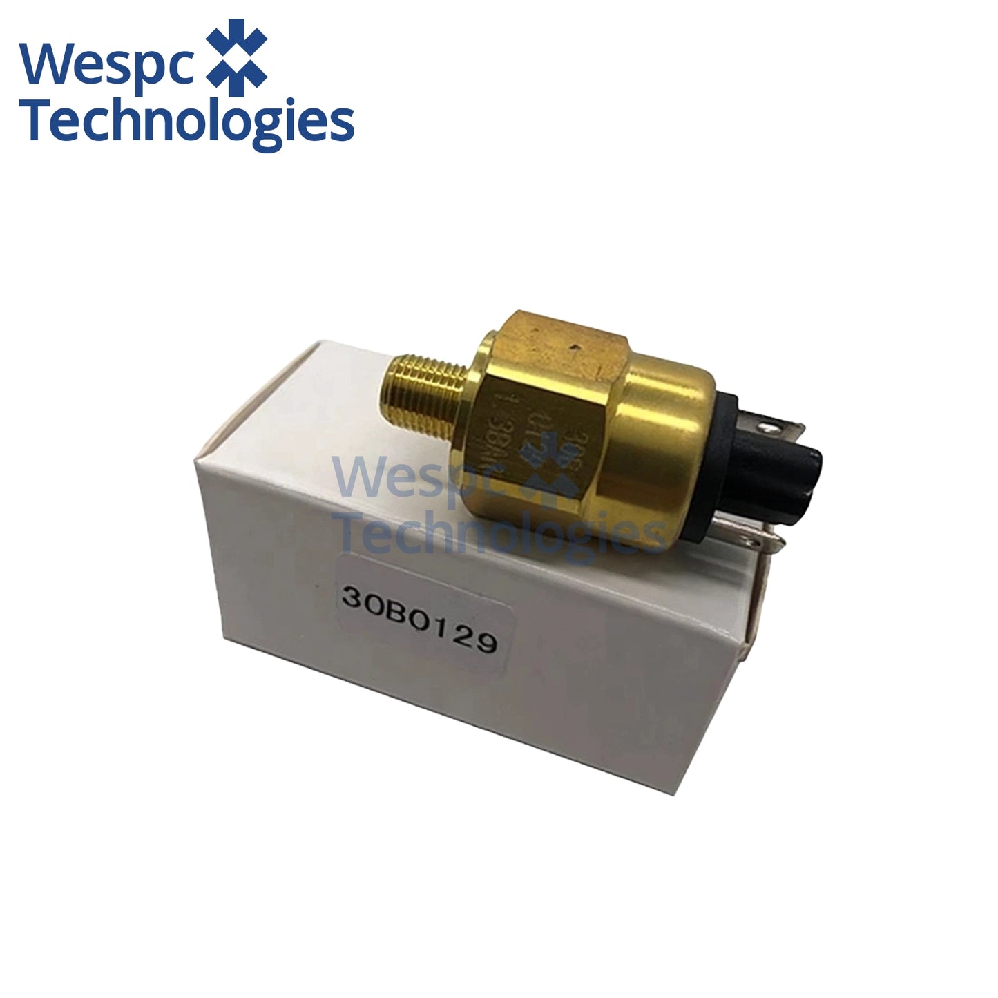 Engine Oil Pressure Sensor 30B0129 Machinery Parts Spare Parts Pressure Sensor