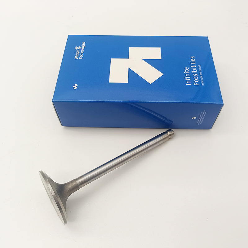 Inlet Valve T411489 for Perkins 1106A-70TAG 1106D-E70TA and 1106D-70TA Engines