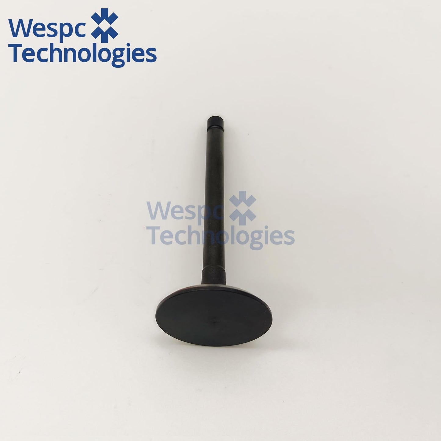 120166360 Intake Valve Part For Perkins 402D-05 403D-07 403D-11 403D-15 403D-15T