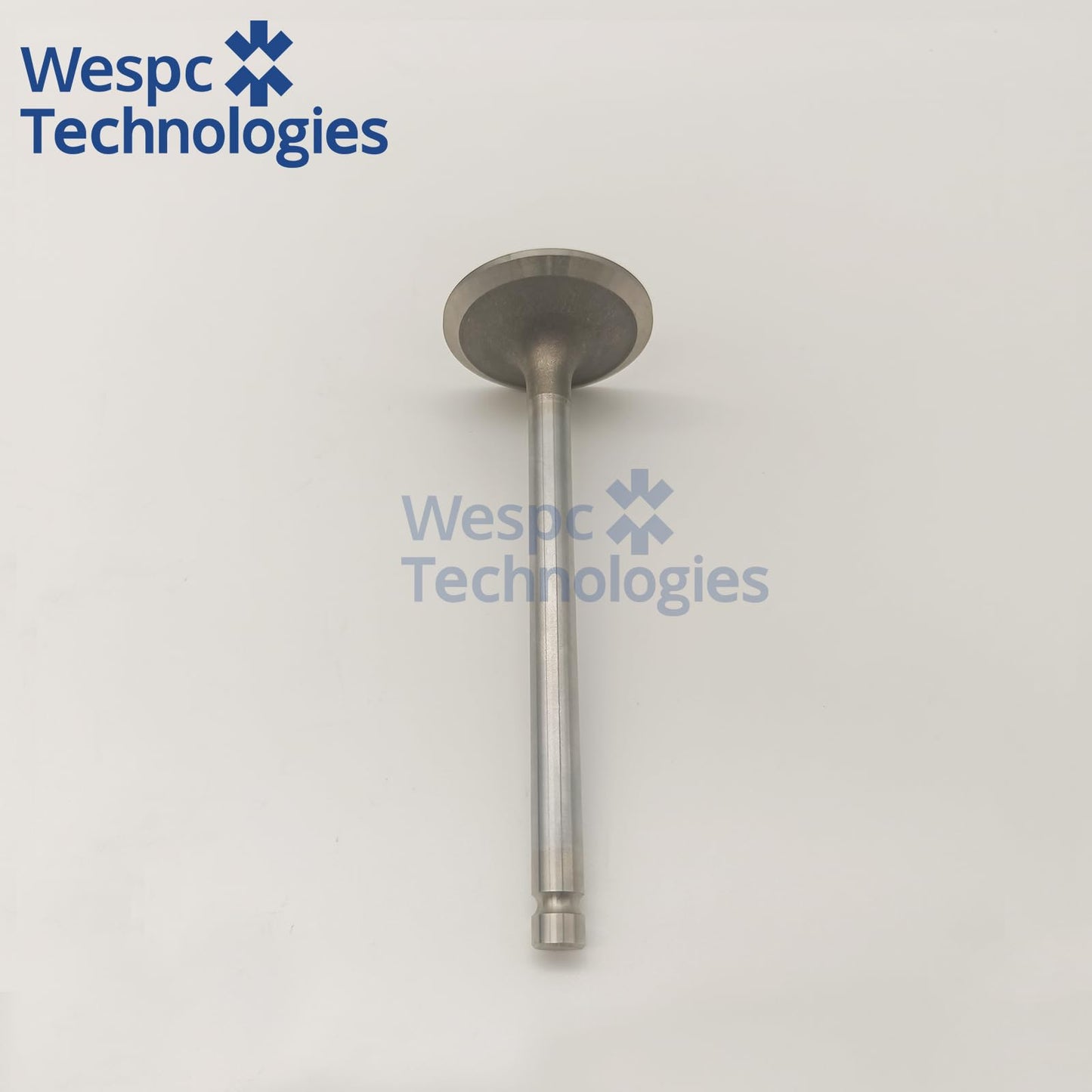 3142H071 Diesel Inlet Valve for Perkins 1103 1104 Engine WESPC