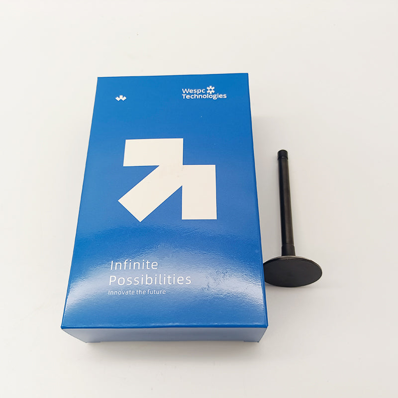 120166360 Intake Valve Part For Perkins 402D-05 403D-07 403D-11 403D-15 403D-15T