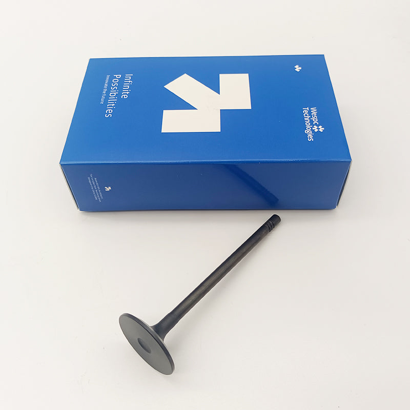 Intake Valve 3142H091 for Perkins1106A-70TAG 1106D-E70TA and 1106D-70TA Engines