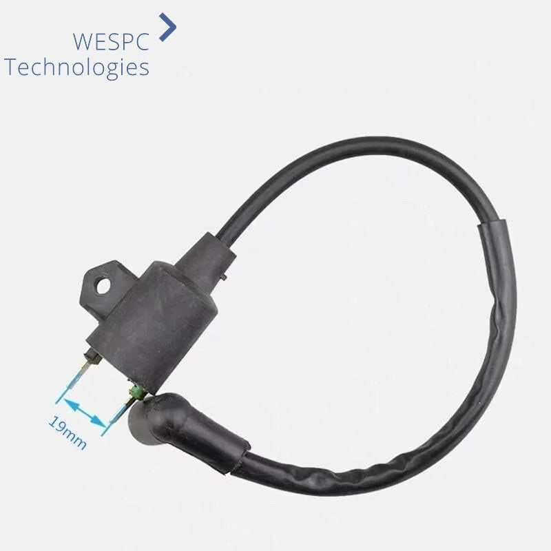 ET950 ET650 IE45 TG950 With Magneto Ignition Coil Ignitor for Generator