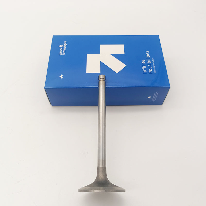 Inlet Valve T411489 for Perkins 1106A-70TAG 1106D-E70TA and 1106D-70TA Engines