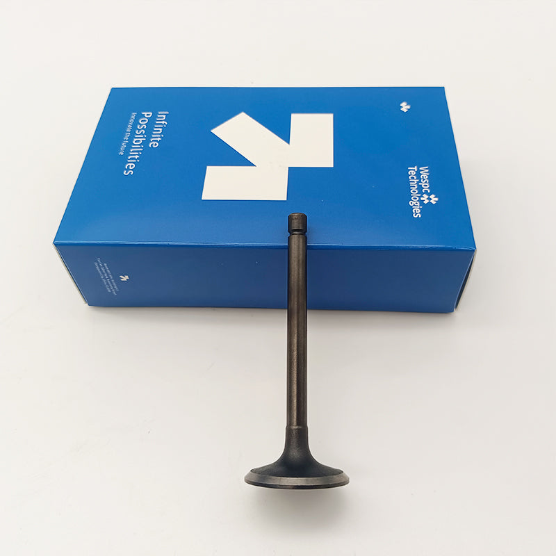 120166360 Intake Valve Part For Perkins 402D-05 403D-07 403D-11 403D-15 403D-15T