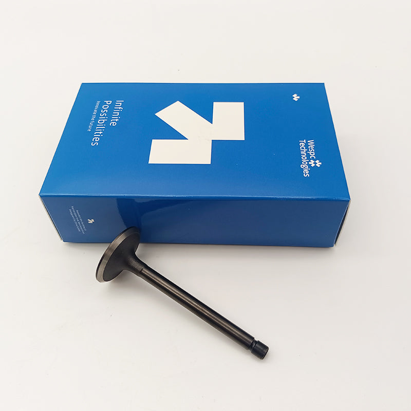 120166360 Intake Valve Part For Perkins 402D-05 403D-07 403D-11 403D-15 403D-15T