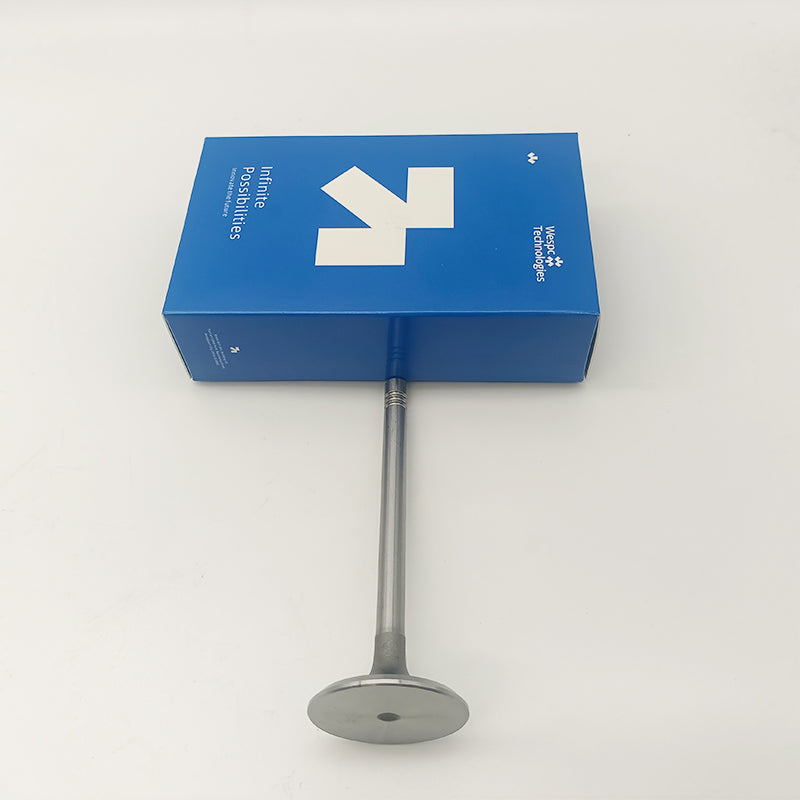 C7.1 C4.4 Intake Valve 3142H101 For Caterpillar Engine Part Perkins 1100D Series