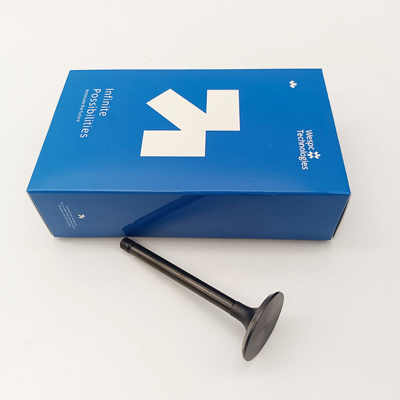 120166360 Intake Valve Part For Perkins 402D-05 403D-07 403D-11 403D-15 403D-15T