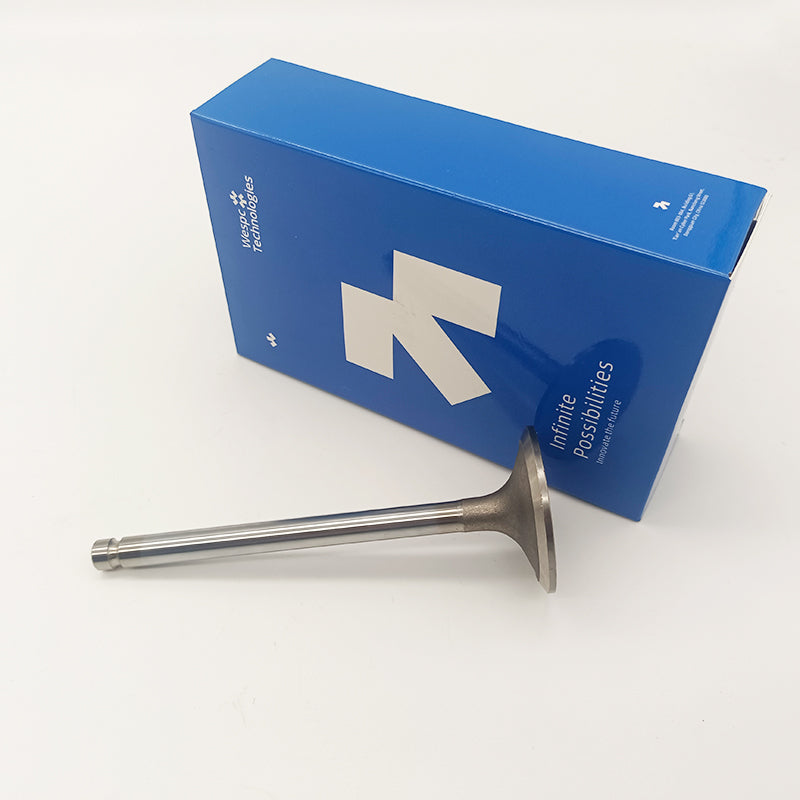 Inlet Valve T411489 for Perkins 1106A-70TAG 1106D-E70TA and 1106D-70TA Engines