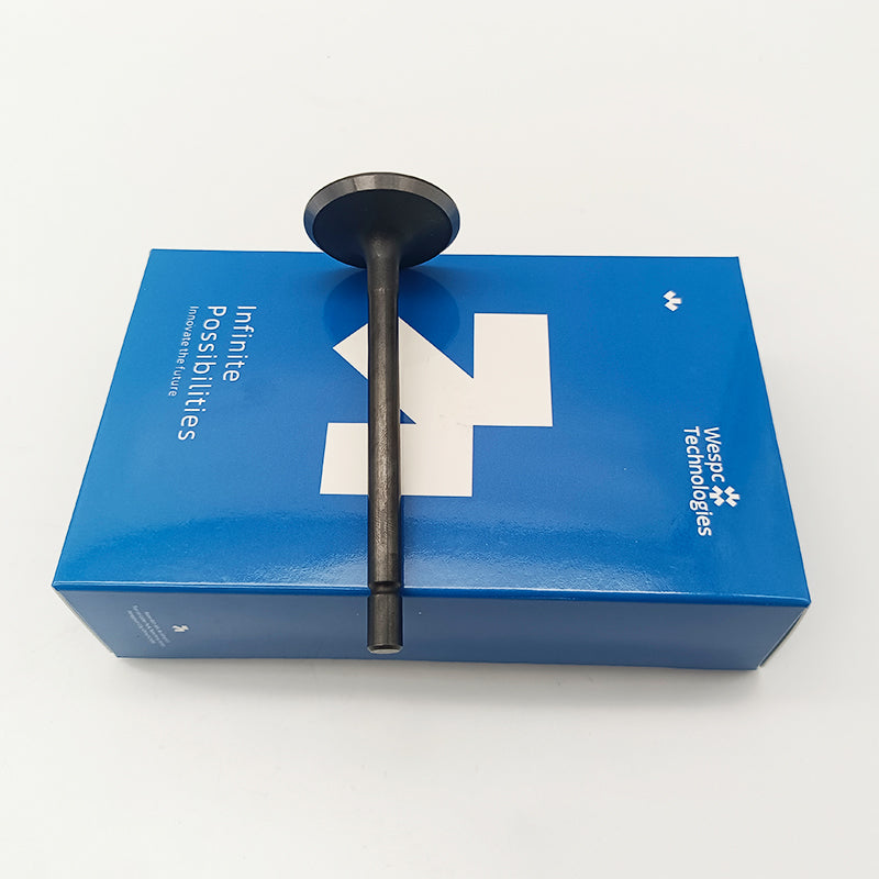 404D-22T Inlet Valve U20166380 For Perkins Inlet Valve