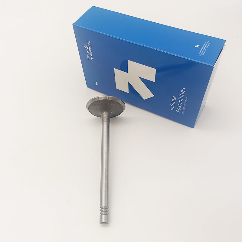 C7.1 C4.4 Intake Valve 3142H101 For Caterpillar Engine Part Perkins 1100D Series