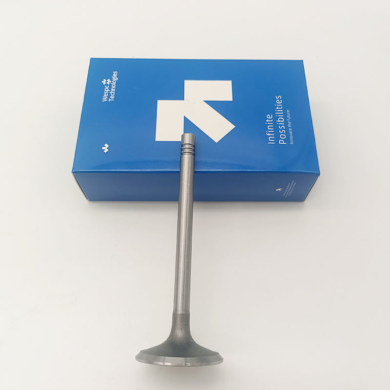 C7.1 C4.4 Intake Valve 3142H101 For Caterpillar Engine Part Perkins 1100D Series