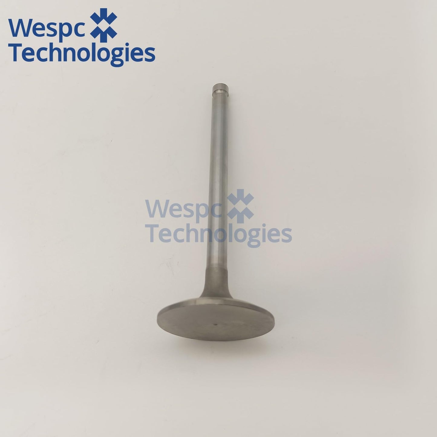 3142H071 Diesel Inlet Valve for Perkins 1103 1104 Engine WESPC