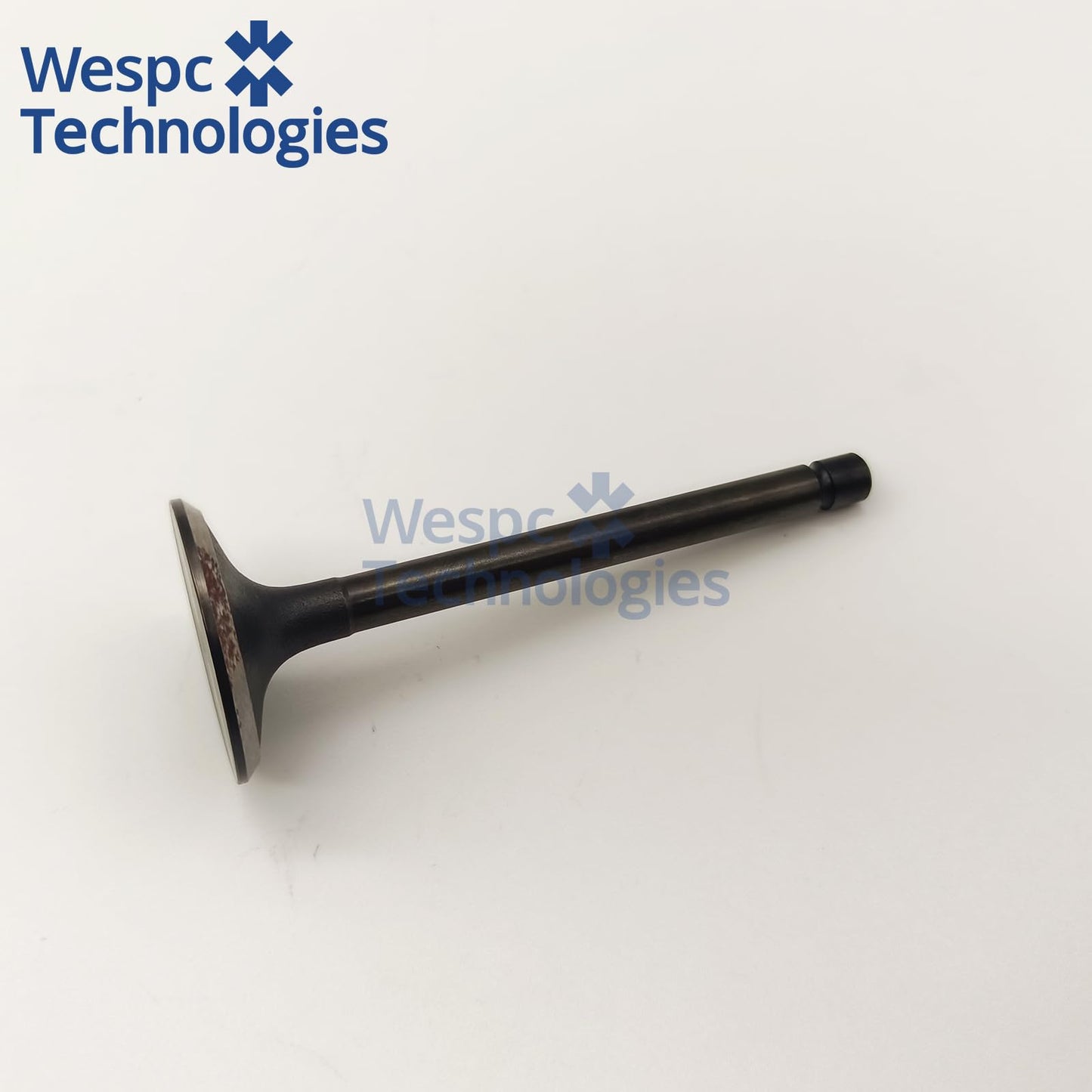 120166360 Intake Valve Part For Perkins 402D-05 403D-07 403D-11 403D-15 403D-15T