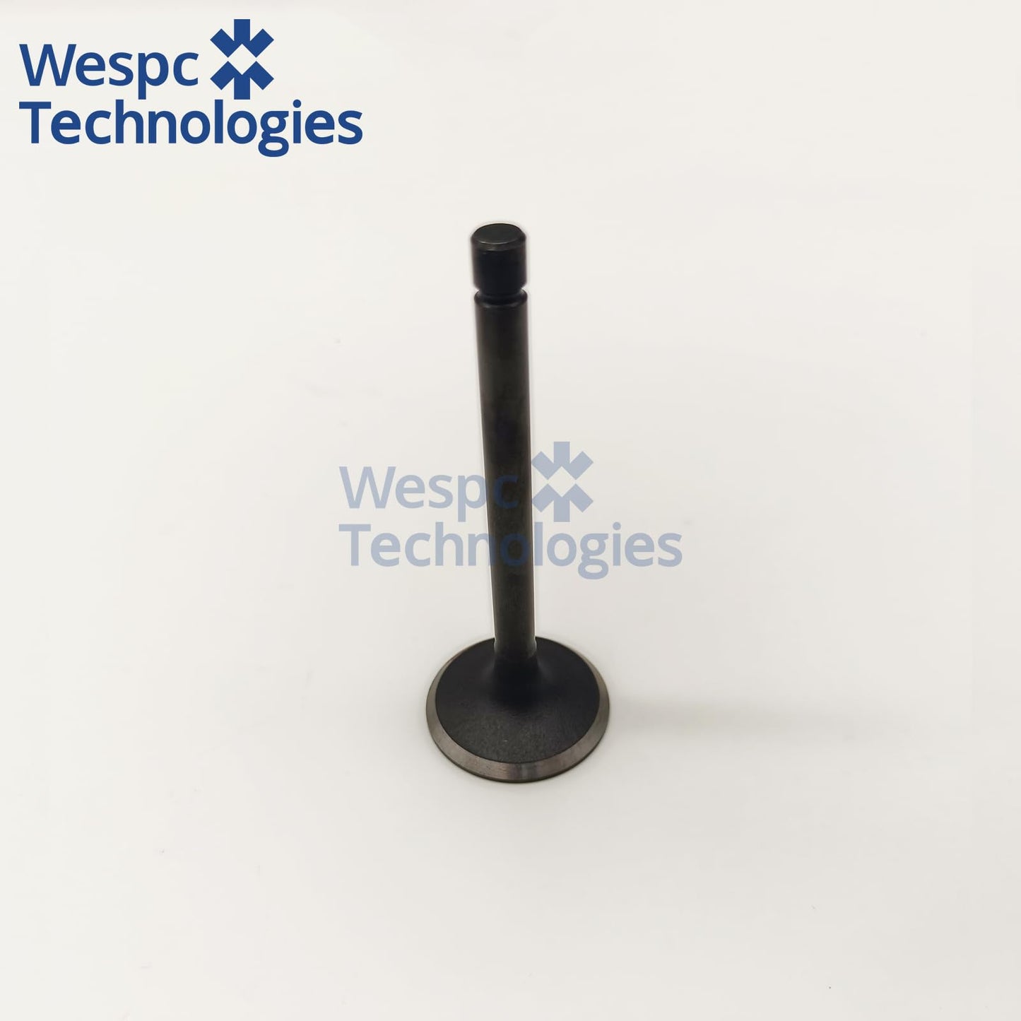 120166360 Intake Valve Part For Perkins 402D-05 403D-07 403D-11 403D-15 403D-15T