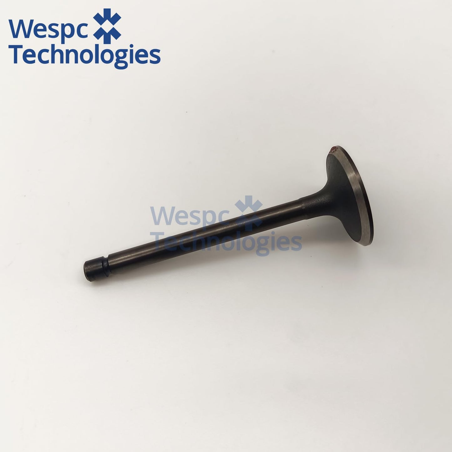 120166360 Intake Valve Part For Perkins 402D-05 403D-07 403D-11 403D-15 403D-15T