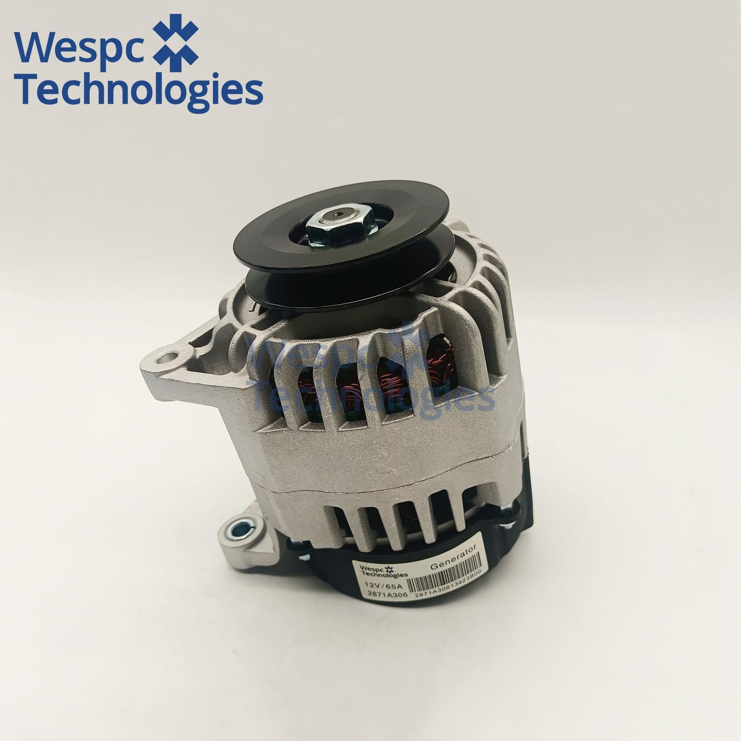 WESPC 2871A306 Alternator 12V 10T for Perkins 1104D-E44T 1104D-E44TA 1106A-70T 1106D-E66TA Diesel Engines