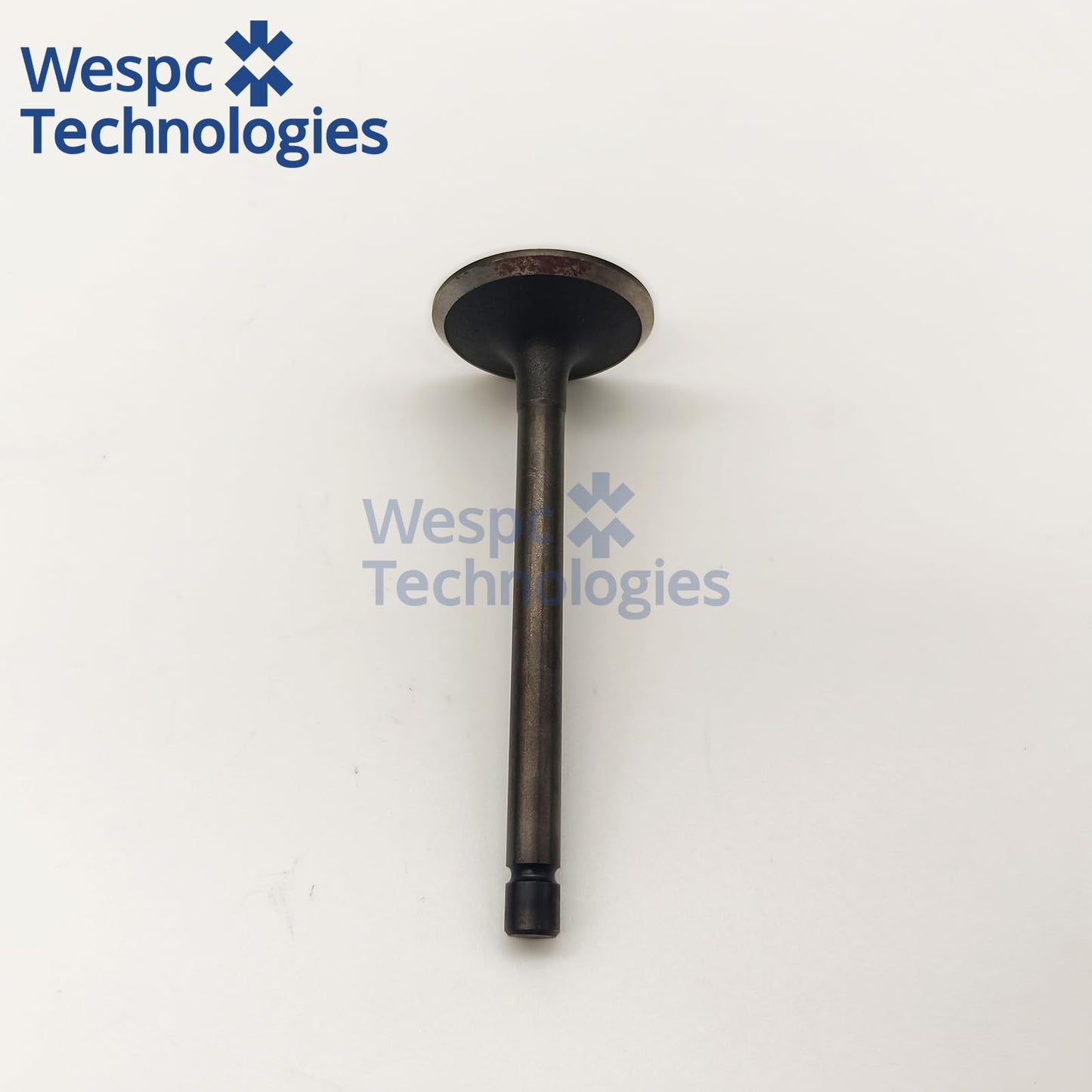 120166360 Intake Valve Part For Perkins 402D-05 403D-07 403D-11 403D-15 403D-15T