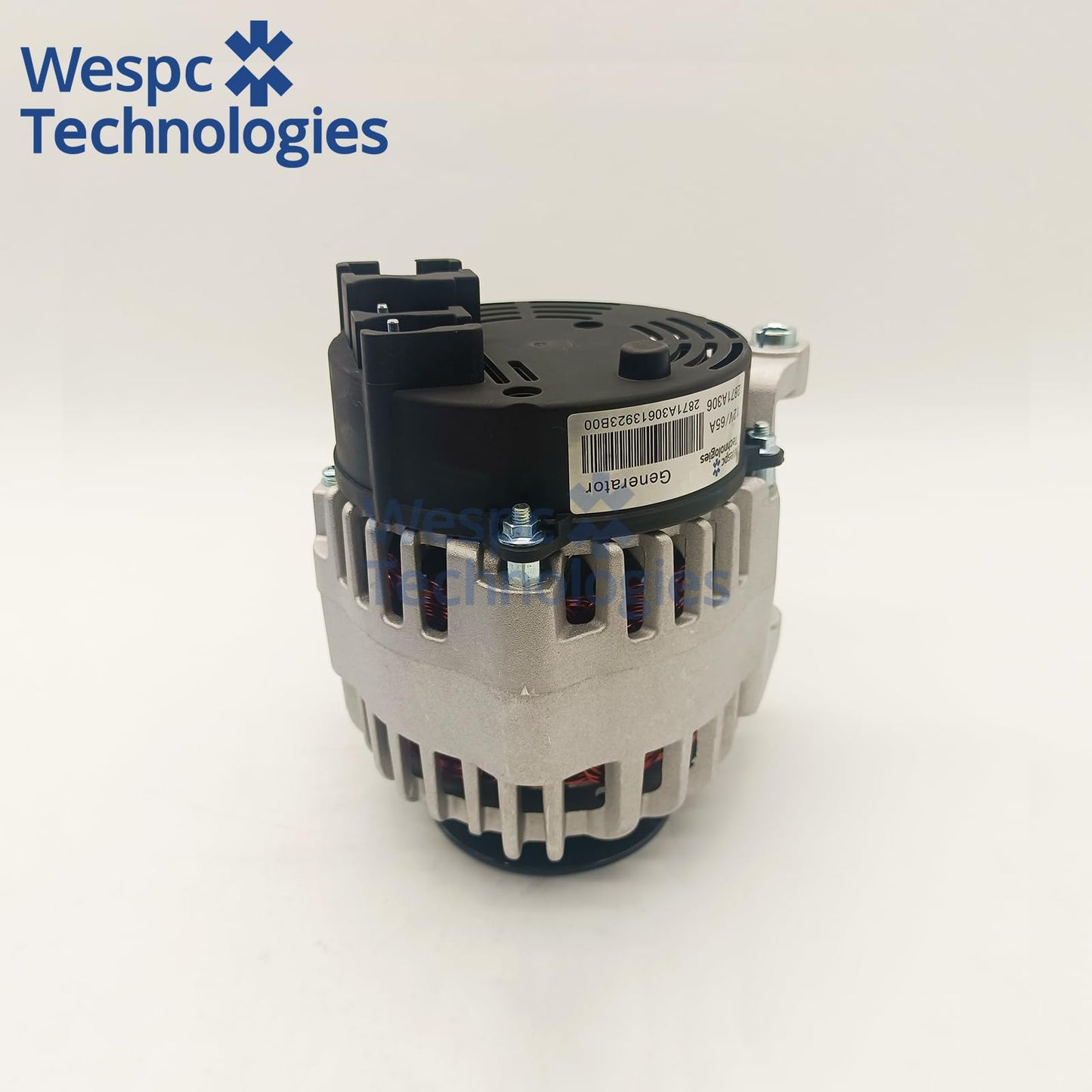 WESPC 2871A306 Alternator 12V 10T for Perkins 1104D-E44T 1104D-E44TA 1106A-70T 1106D-E66TA Diesel Engines