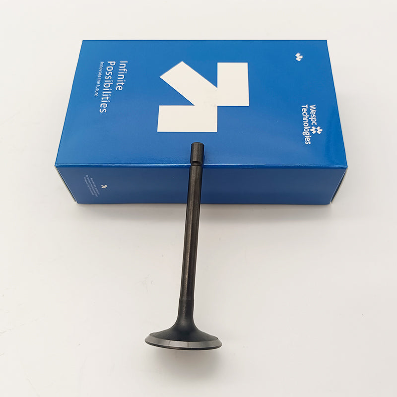 404D-22T Inlet Valve U20166380 For Perkins Inlet Valve