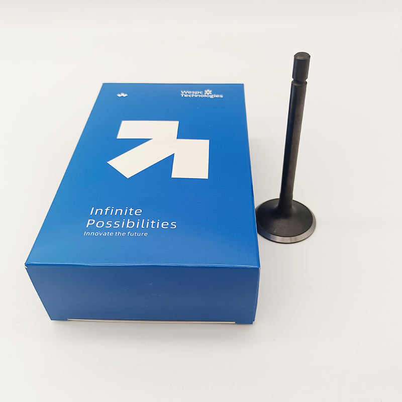 404D-22T Inlet Valve U20166380 For Perkins Inlet Valve