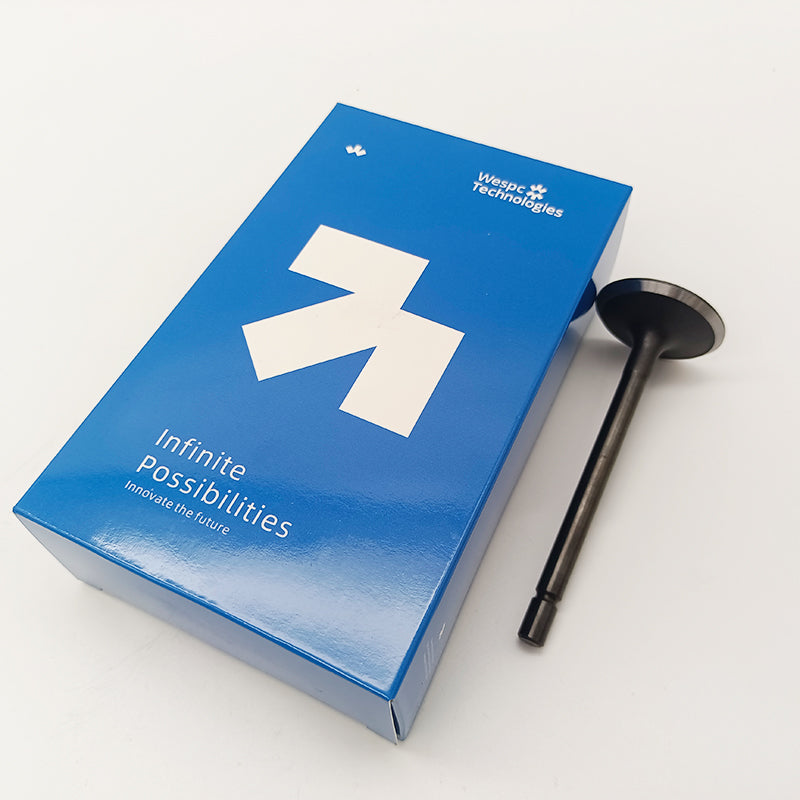 404D-22T Inlet Valve U20166380 For Perkins Inlet Valve