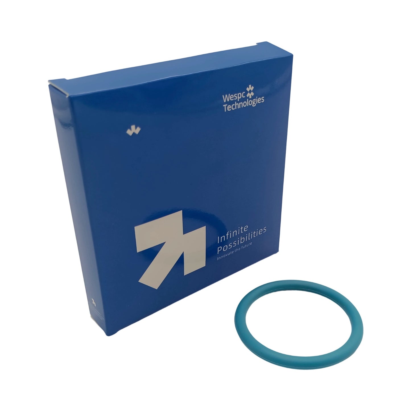 CH10755 O-Ring Seal for Perkins Engine Thermostat Coolant System