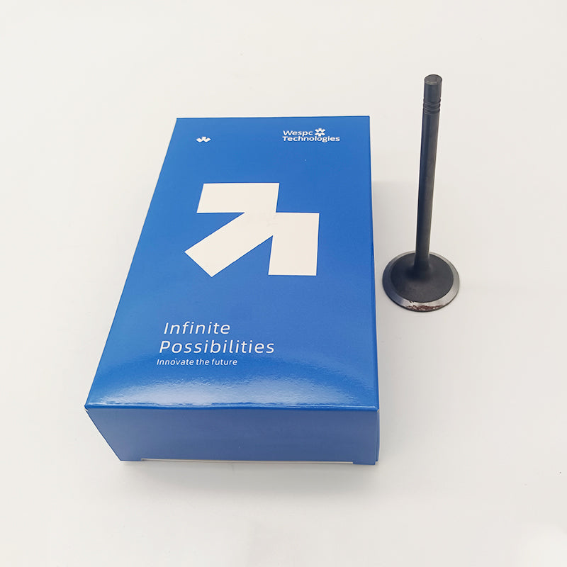 Intake Valve 3142H091 for Perkins1106A-70TAG 1106D-E70TA and 1106D-70TA Engines