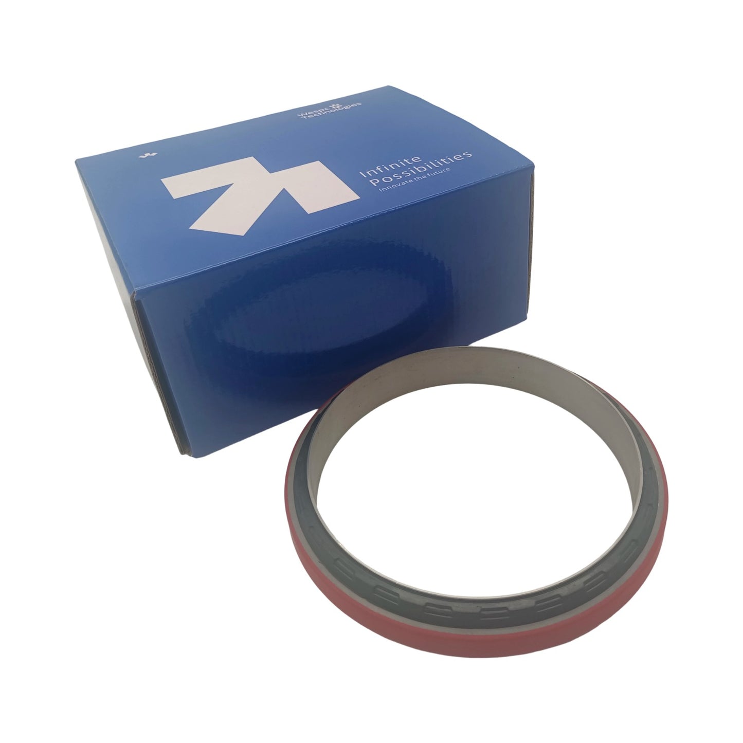 Oil Seal Part 1817867C93 Compatible with Industrial Pump and Gearbox Assembly