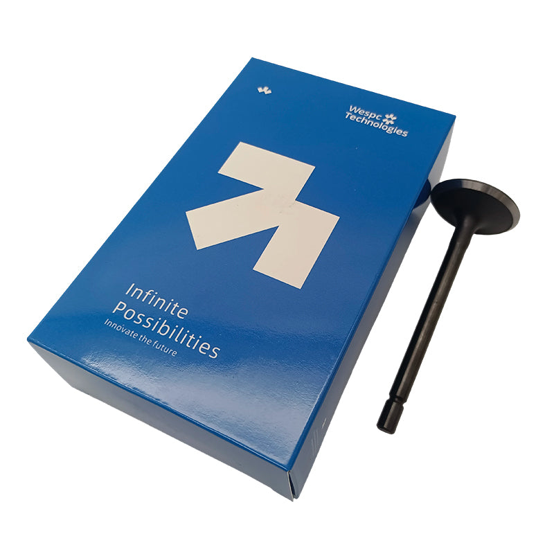 404D-22T Inlet Valve U20166380 For Perkins Inlet Valve