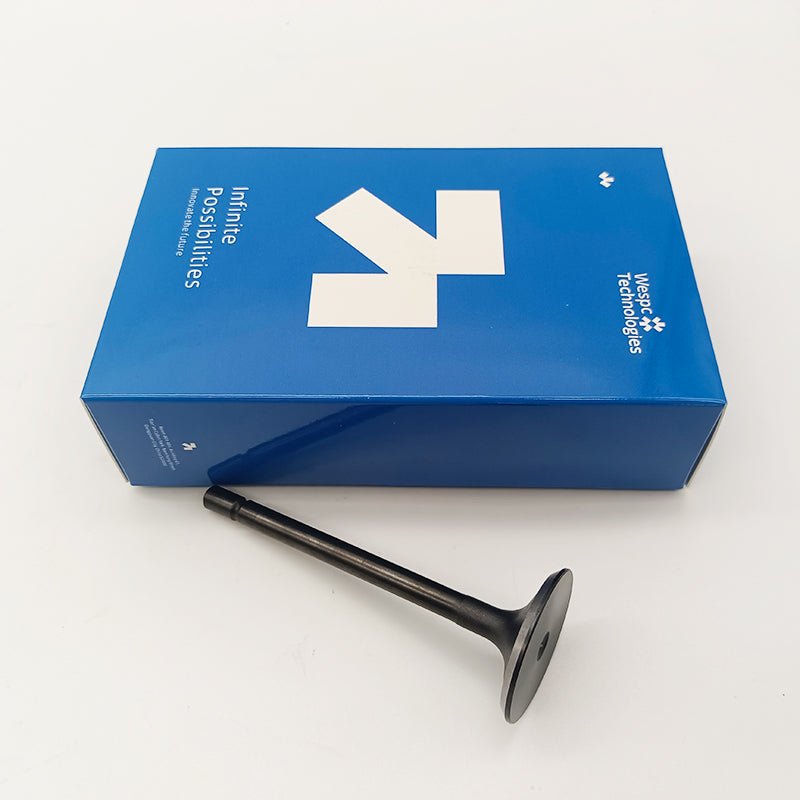 404D-22T Inlet Valve U20166380 For Perkins Inlet Valve