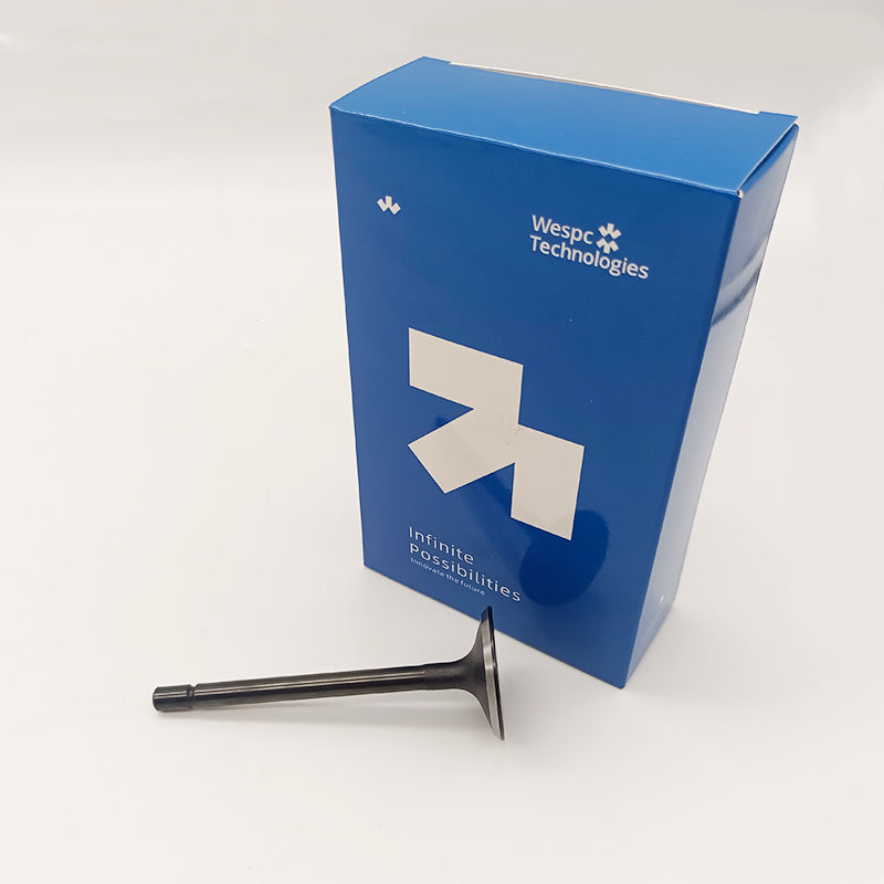 404D-22T Inlet Valve U20166380 For Perkins Inlet Valve