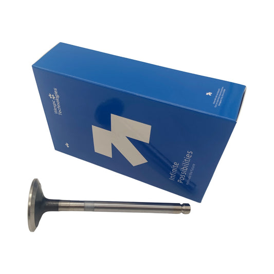 3142A151 Intake & Exhaust Valve Suitable for Perkins 1104C-44 Engine Parts