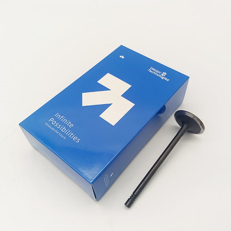 Intake Valve 3142H091 for Perkins1106A-70TAG 1106D-E70TA and 1106D-70TA Engines