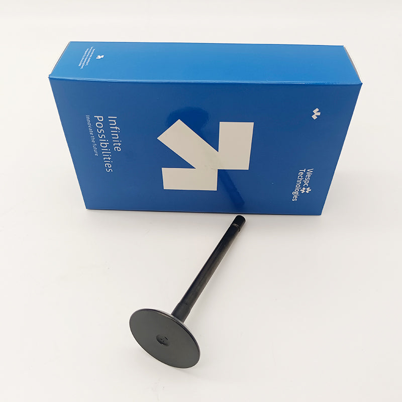 404D-22T Inlet Valve U20166380 For Perkins Inlet Valve