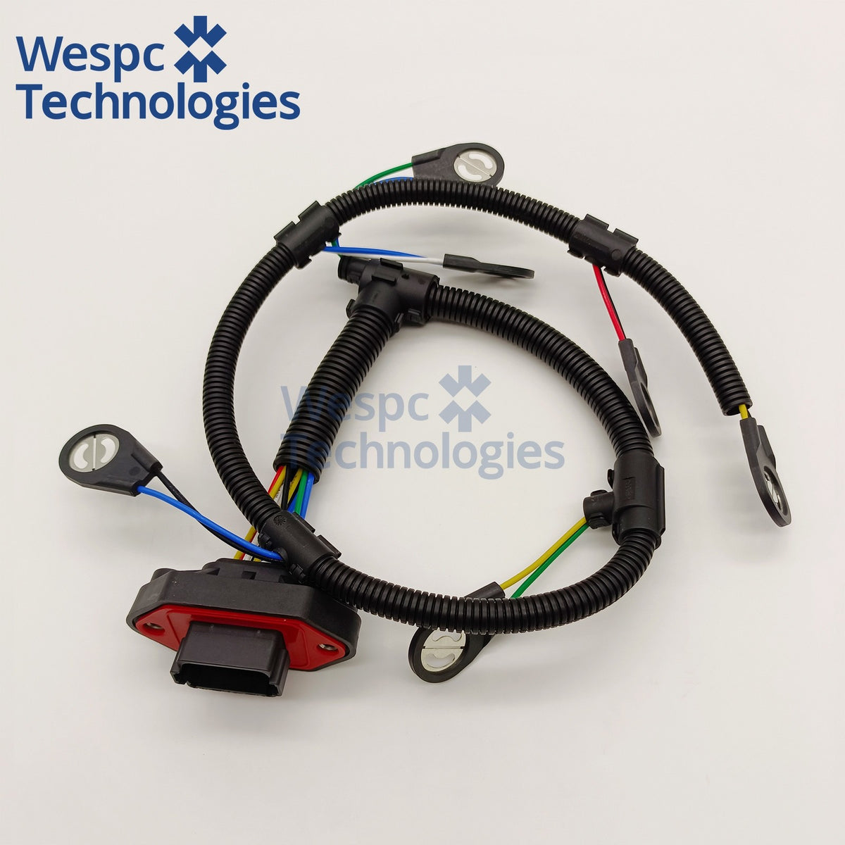 CH10974 Perkins injector wiring harness, top view of conduit loop and injector connectors