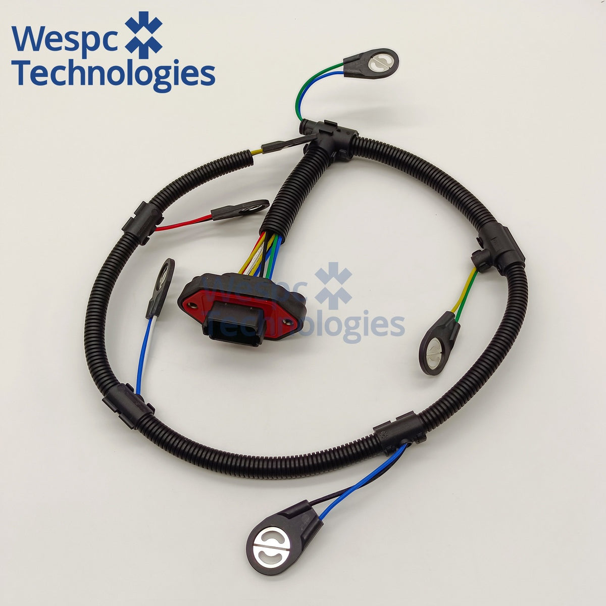 CH10974 injector harness, overview of full harness layout and branch connectors
