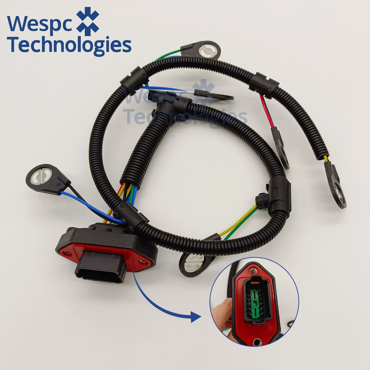 CH10974 injector harness, close-up of the square connector cavity detail