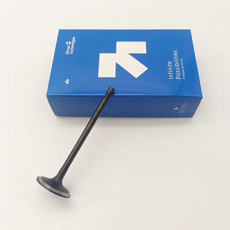 Intake Valve 3142H091 for Perkins1106A-70TAG 1106D-E70TA and 1106D-70TA Engines