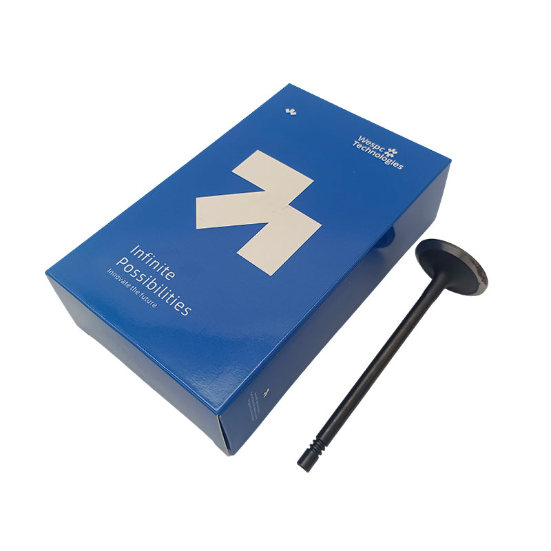 Intake Valve 3142H091 for Perkins1106A-70TAG 1106D-E70TA and 1106D-70TA Engines