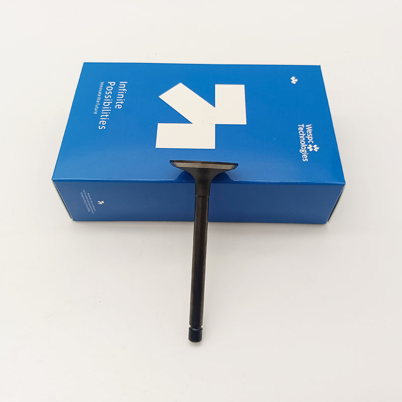 120166360 Intake Valve Part For Perkins 402D-05 403D-07 403D-11 403D-15 403D-15T