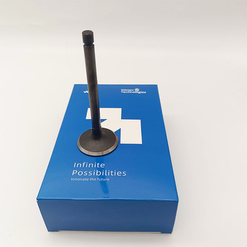 120166360 Intake Valve Part For Perkins 402D-05 403D-07 403D-11 403D-15 403D-15T