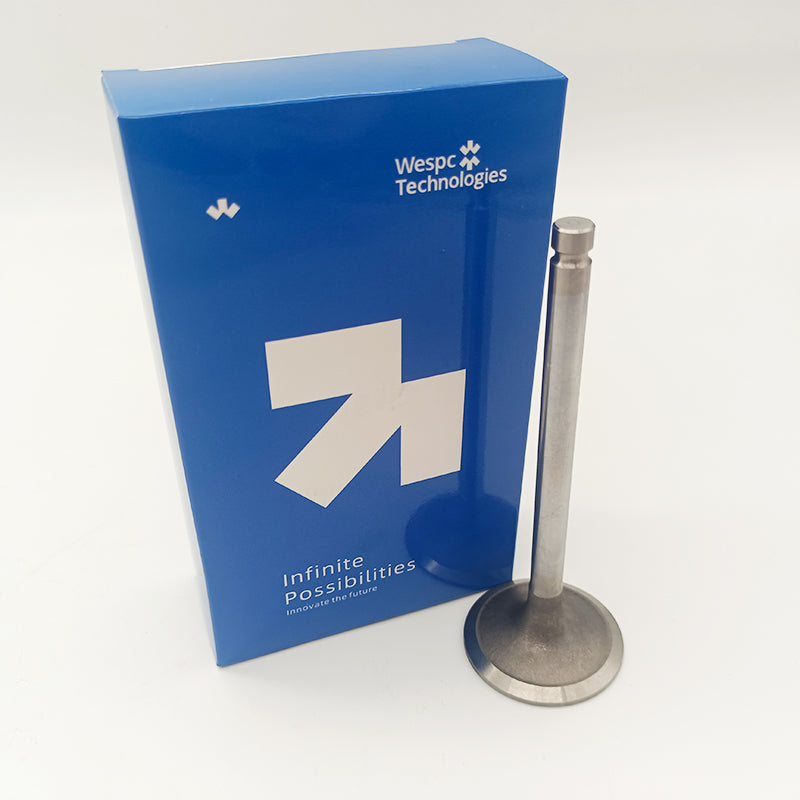 Inlet Valve T411489 for Perkins 1106A-70TAG 1106D-E70TA and 1106D-70TA Engines