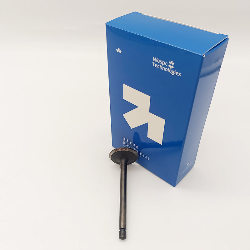 120166360 Intake Valve Part For Perkins 402D-05 403D-07 403D-11 403D-15 403D-15T