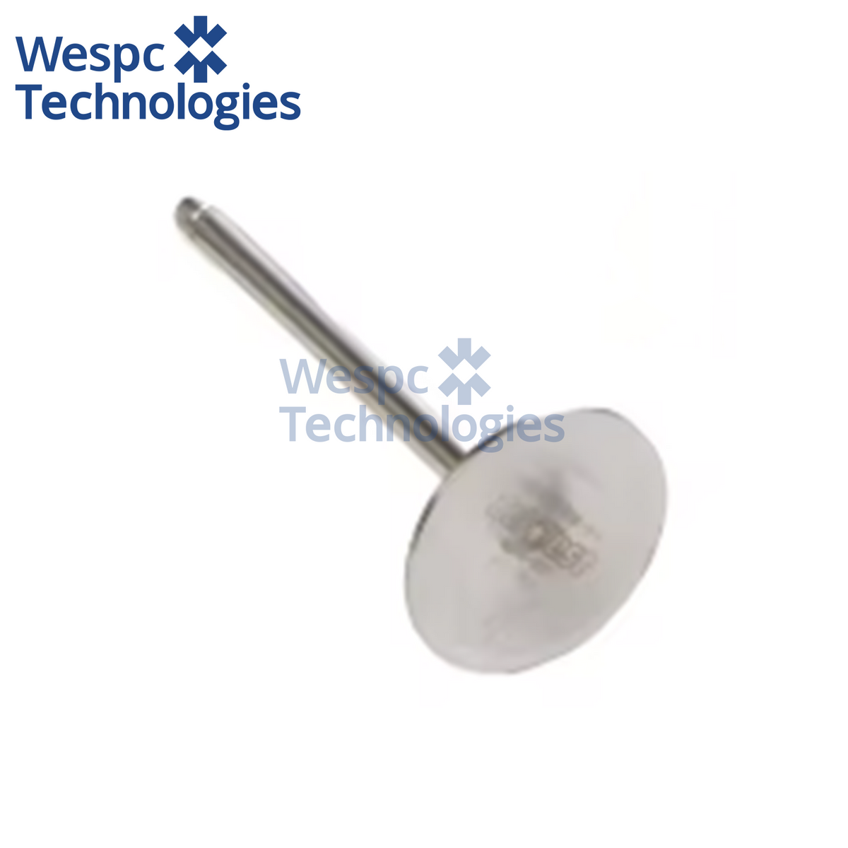 X52404100226 Inlet Valve Diesel Engine Component For MTU 4000 Series