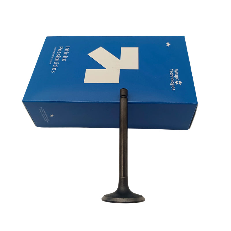 120166360 Intake Valve Part For Perkins 402D-05 403D-07 403D-11 403D-15 403D-15T